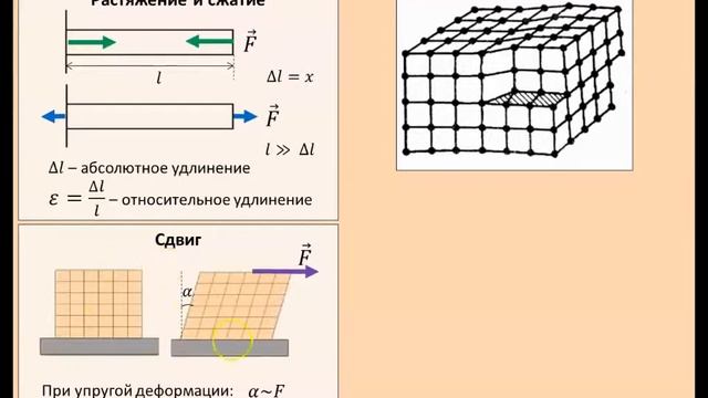 Рассмотрение темы: "Виды деформации" #физика #школа #самара