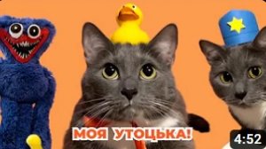 КОТИКИ В ШКОЛЕ - ЛОТКОВ В ПОИСКАХ УТЬКИ (@kotiynet)