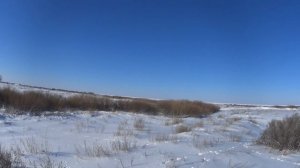 охота на зайца. дробь летела над головой..лучшая охота! много зайца.#hunting