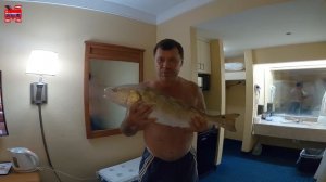 Эконом отдых иммигранта в США .Перезалив