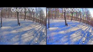 Skyzone Cobra X V2 & Eachine EV800D DVR comparison
