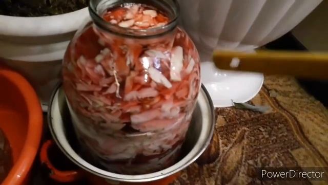 Ремонт в разгаре а Я очень радая  капуста квасится Мартин следит за процессом/ В магазин хоть н