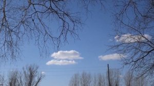 Francis Lai - Love Story. Orchester Anthony Venturat. Скворцы на Оби. 10.04.2021.