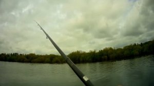 Весенняя рыбалка в проводку на черепашку. #рыбалка #удочка