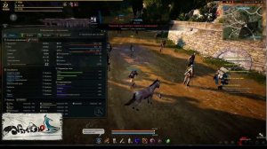 Black Desert (RU)Гайды\обзоры - Прокачиваем параметры тела (тонус, сила, здоровье)