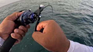 Piscifun Alijoz 400: In-Depth Reel Review and On-The-Water Testing! Find Out How It Performs!