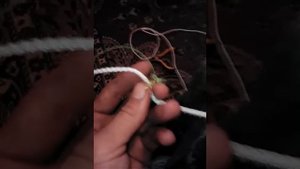 Делаем петли на фазана
