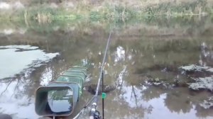 Первая осенняя рыбалка фидером на Северском Донце.