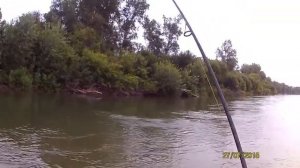 Щука  на ультралайт Zemex spider pro 0,3-5,  Абакан ч2.