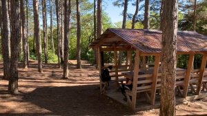 06-10-2024 сосновая роща в Новороссийске сегодня