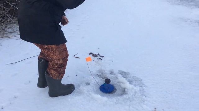 Рыбалка на жерлицы в селе! ЩУКА АТАКУЕТ!!! смотреть онлайн