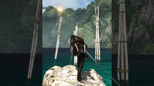 Assassins Creed IV Black Flag