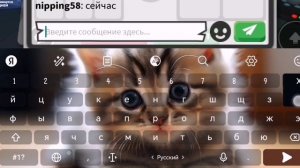 ЧТО?! адопт ми с нуля