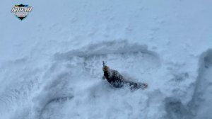 ОКУНЬ АТАКУЕТ !!! ЖОР ОКУНЯ, СКОЛЬКО ОКУНЕЙ ТУТ ???!!!