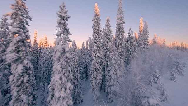 Зима