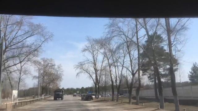 17й день самоизоляции Газелистки. Курочка по зёрнышку клюёт.