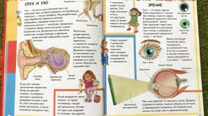 АНАТОМИЯ ДЛЯ ДЕТЕЙ. Ухо и слух. Глаз и зрение Читаем вслух детскую энциклопедию Как устроен человек