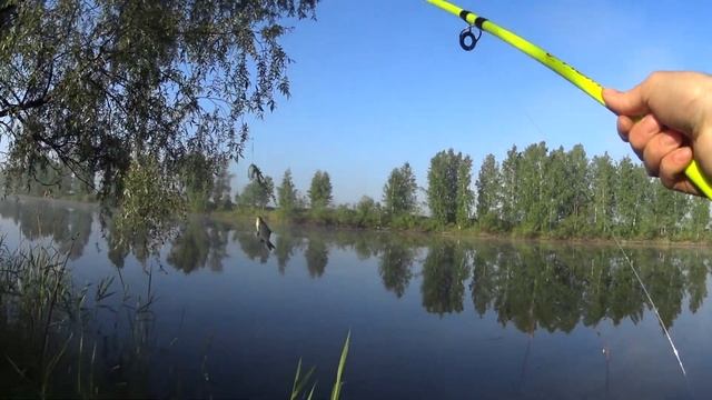 карась на донку,карась на поплавок,ловля карася смотреть онлайн