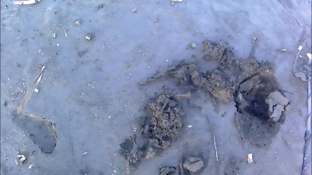 Снова Пруд Пятак!!!!Коп 2019 смотреть онлайн