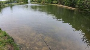 BFS Fishing Rebel Raider with Shimano Aldebaran BFS 22 and Jackson Blast Beats Makimono Special