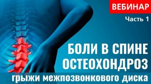 Боли в спине, остеохондроз, грыжи межпозвонкового диска. (Вебинар 24.06.18 г. - Часть 1)