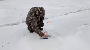 Зимняя рыбалка на жерлицы