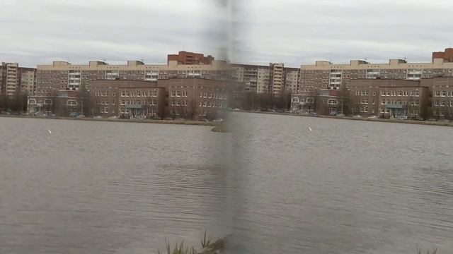 Тест записи 3D видео на Raspberry Pi с 3Dberry смотреть онлайн