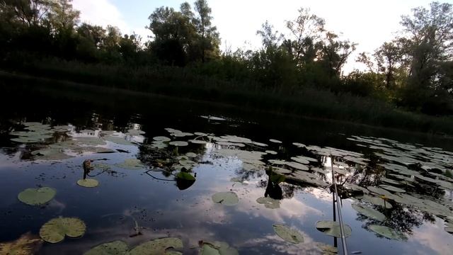 ОЦЕ ТАК РИБАЛКА!!! Я в шоці! Дикі мiсця. Ловля на поплавок. Риболовля.