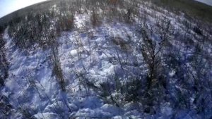 Охота на зайца русака с МР 155! Потропили От Души