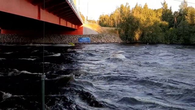 Freestyle and jumps on Jet-ski.Водный мотоцикл,гидроцикл.Пороги в Лосево на Вуоксе.Сплав на Вуоксе. смотреть онлайн