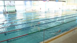 Первенство Пермского края по плаванию «Веселый дельфин» 2023