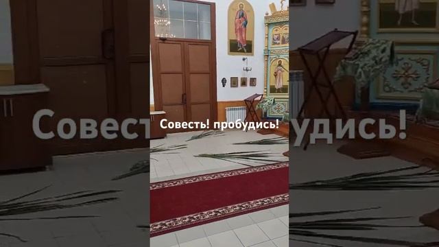 Пробудись, совесть! Слава Богу за всё!.. ☀️