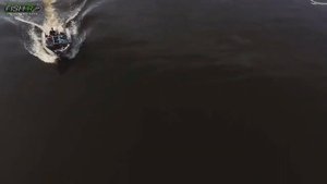 Maximus High Energy-Z & High Energy-Z Jig! Amantes del Spinning Atención!!