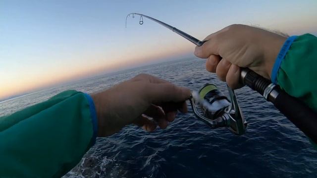 Barracuda on Spasm Restless vobler - Live Strike смотреть онлайн