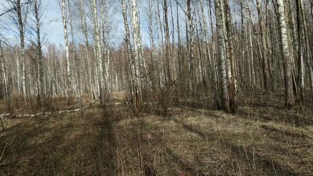 Коп,на котором сбылись мечты! Круто открываю сезон 2020! Серебро,удел,кресты и многое другое! смотреть онлайн