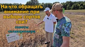 Какой фактор – ключевой при выборе сорта сои?