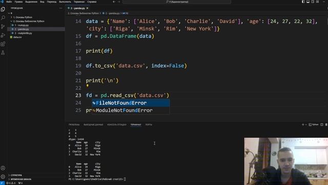 ОСНОВЫ БИБЛИОТЕК PYTHON | NYMPY PANDAS MATPLOTLIB | ПОДГОТОВКА К ИИ смотреть онлайн