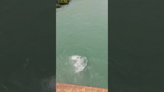 Туры по Дагестану от 3500р. 8-922-05-05-305 каталог в вотсапе или ссылка в описании смотреть онлайн