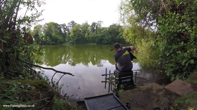 LIVE Match Fishing TOP 5 Best Matches! Match Fishing Tips and Tactics смотреть онлайн