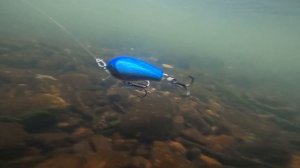 Rapala Fat Rap Shallow Runner SFR05 ][  Lure Action Review Channel