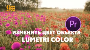 Как изменить цвет объекта в Premiere Pro,  LUMETRI COLOR.