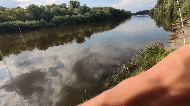 РИБАЛКА В ДЕСНІ НА ФІДЕР 2024 #рибалка #fishing #рибалкавукраїні #2024 @TEULU999