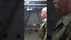 В гостях у Юры Фонакова г.Бугульма голуби Прикамья