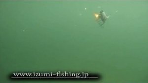 Воблеры Izumi
