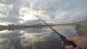 Daiwa Certate 16 3012 vs Shimano Twin Power 15 4000pg