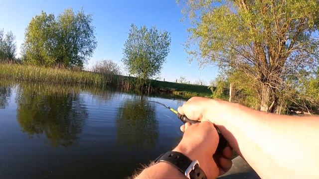 ПЛОТВА на МОРМЫШИНГ!