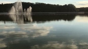 ПРИВЁЗ ИЗ ДЕРЕВНИ, И ДУМАЛ БУДЕТ ВЕРНАЯ. Поучительные жизненные истории. Любовные аудио рассказы.