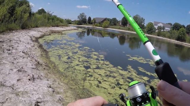 The Cicada Lure Catches Fish- This Was Amazing! смотреть онлайн