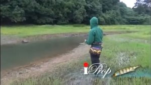 Jackall® I-Prop 75S - Depesca.com