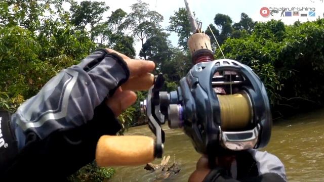 MONSTER Sebarau Sg Krau Hentam Popper Rapala Skitter Pop смотреть онлайн